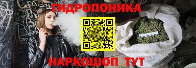 стафф Новокубанск