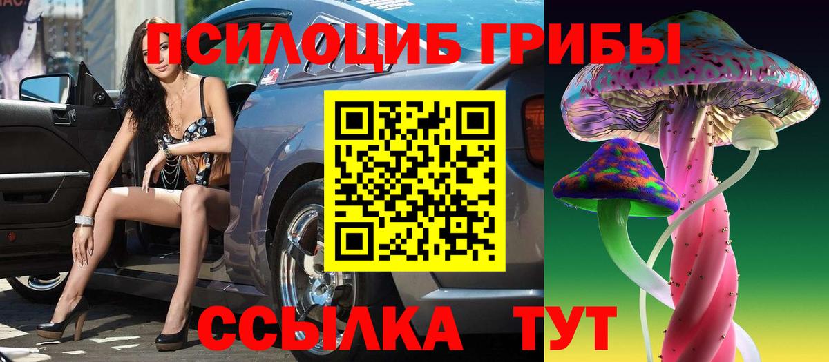 Учалы  Псилоцибиновые грибы Cubensis  Вход с VPN 